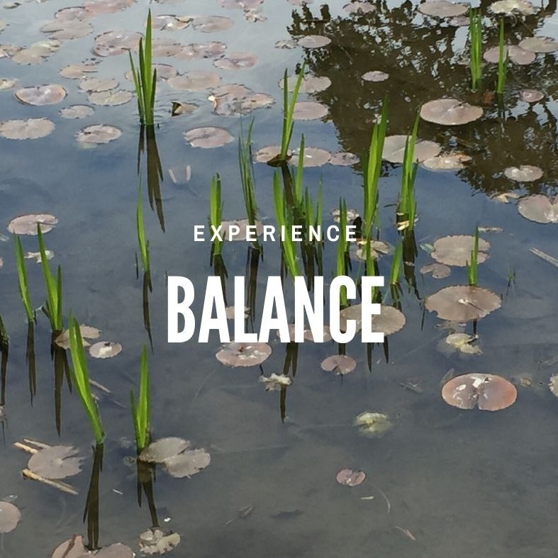 Experience Balance - Self Discovery - Cut Lunch Adventures